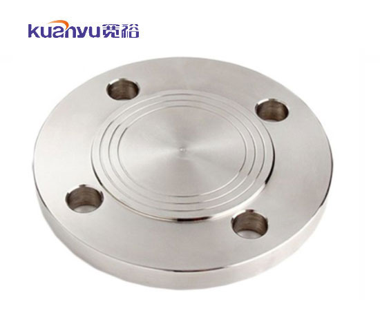 不銹鋼衛(wèi)生級(jí)BL法蘭蓋配圖